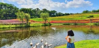 Flower Garden Vimala Hills