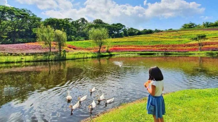 Flower Garden Vimala Hills