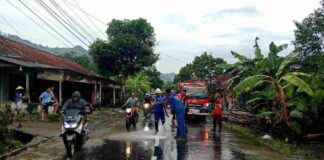 Lumpur banjir