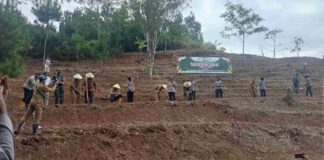 Polres Ciamis, bersama Pemerintah Kabupaten Ciamis yang diwakili oleh Asisten Daerah II, melaksanakan penanaman jagung di Desa Bangunjaya, Kecamatan Panawangan