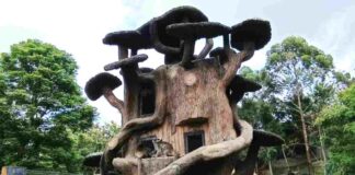 Lembang Park & Zoo