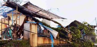 Pohon tumbang karena hujan dan angin yang terjadi pada Minggu sore pukul 16.44 WIB ini menyebabkan kerusakan pada rumah milik Mulyana Fahroji.