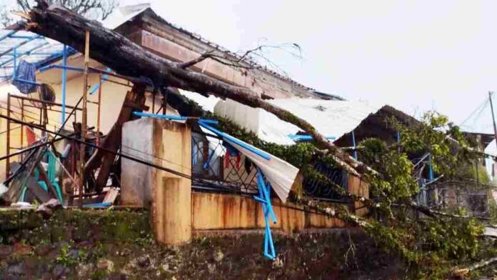 Pohon tumbang karena hujan dan angin yang terjadi pada Minggu sore pukul 16.44 WIB ini menyebabkan kerusakan pada rumah milik Mulyana Fahroji.