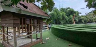 Taman Ecopark