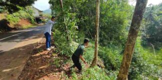 Tebing pinggir jalan raya