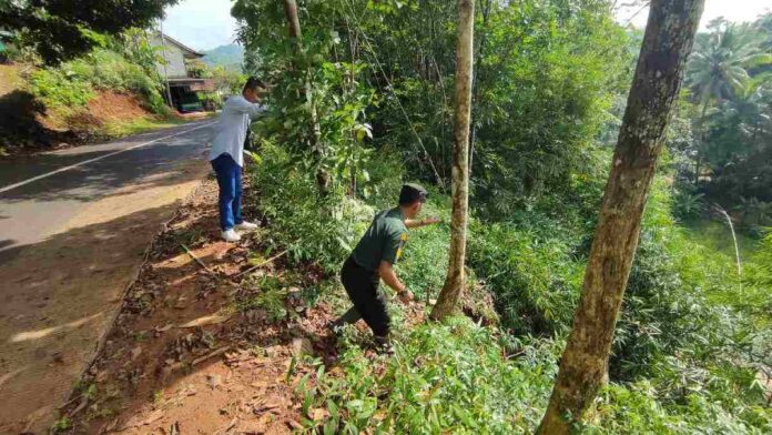 Tebing pinggir jalan raya