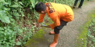 tanah Ciamis