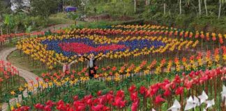 Jabal Nur Tasikmalaya