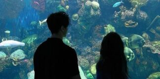 Agar pasangan tidak bosan, kamu harus menjaga komunikasi dengan baik. Jangan ragu untuk mengungkapkan perasaanmu kepada pasanganmu.