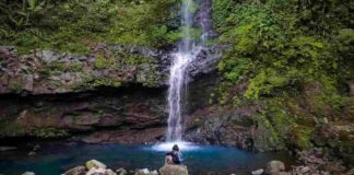 Curug Muntu Purwokerto merupakan sebuah objek wisata alam baru yang menyuguhkan keindahan air terjun dan hutan pinus.