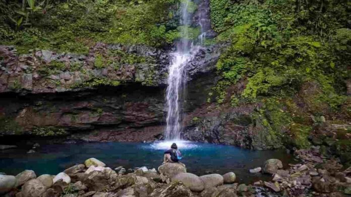 Curug Muntu Purwokerto merupakan sebuah objek wisata alam baru yang menyuguhkan keindahan air terjun dan hutan pinus.