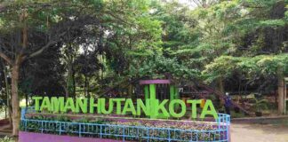 Taman Ciamis