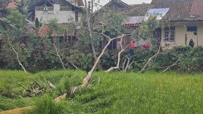 Angin Kencang