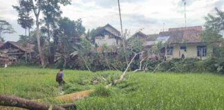 Angin kencang melanda beberapa wilayah di Kabupaten Ciamis, Jawa Barat, pada Kamis (6/2/2025) siang. Salah satu daerah yang terdampak