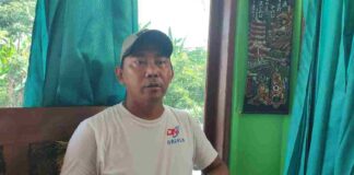 Kepala Desa Sukamulya Jepang
