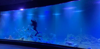 Aquarium Pangandaran