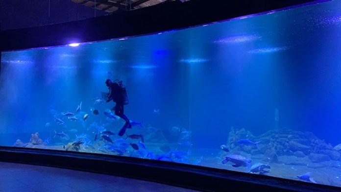 Aquarium Pangandaran