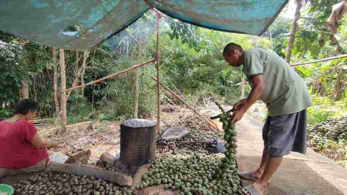 Perajin kolang-kaling Ciamis