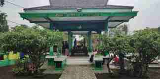 Fans Nike Ardilla