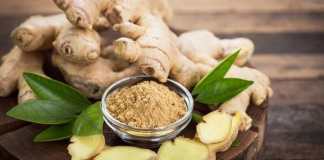 Jenis Bumbu Dapur