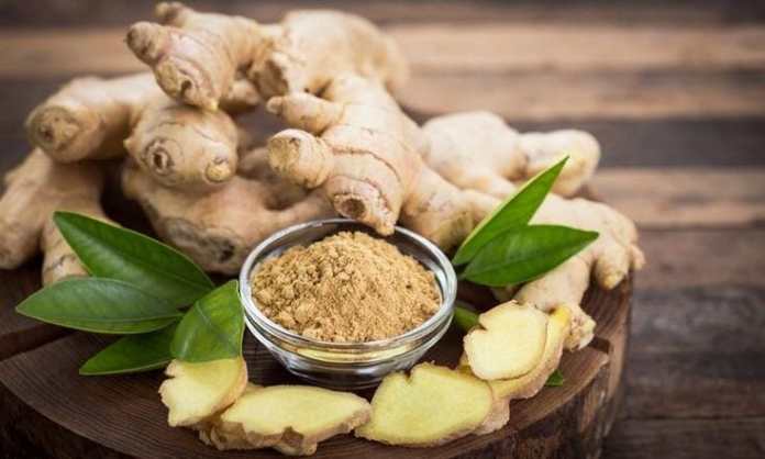 Jenis Bumbu Dapur