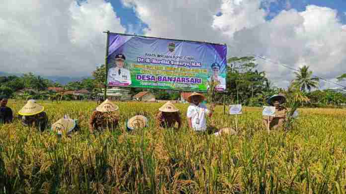 Salah satu langkah konkret dilakukan dengan Pertanian organik di Ciamis, yakni menggalakkan penggunaan pupuk organik