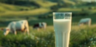 5 Manfaat Susu Sapi untuk Anak-anak, Bantu Tumbuh Kembang