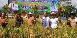 Mengenal GACCORS, Gerakan Cinta Organik dari Ciamis yang Menjawab Krisis Pertanian
