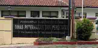 Konsumsi Ikan Ciamis