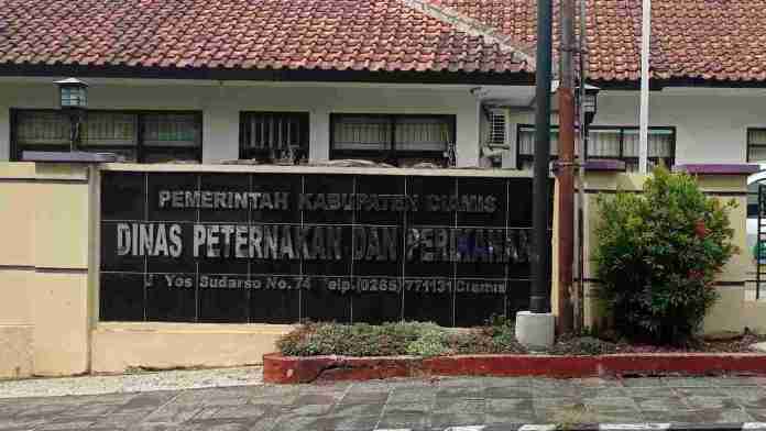 Konsumsi Ikan Ciamis