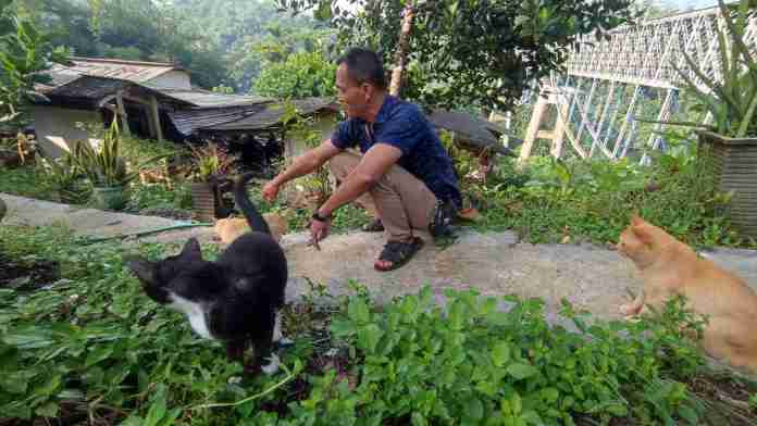 Di Balik Indahnya Jembatan Cirahong, Ada Kisah Sedih Kucing Terbuang