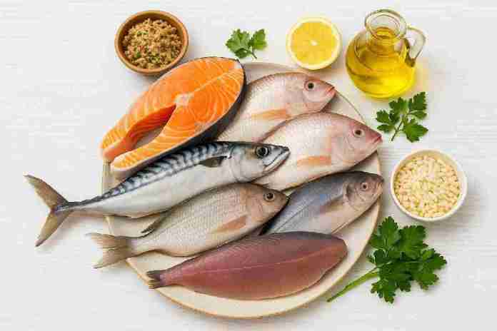 Mengenal Berbagai Jenis Ikan untuk Kesehatan Ginjal: Lezat dan Menyembuhkan