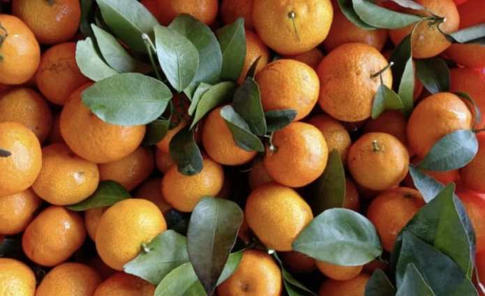 Tips Memilih Buah-buahan Segar dan Manis, dari Jeruk Hingga Nanas!