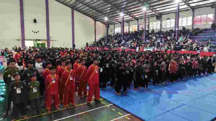 Kejuaraan Pencak Silat