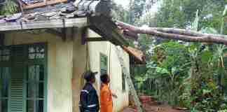 Berita Ciamis (Djavatoday.com),- Hujan deras disertai angin kencang kembali melanda Kabupaten Ciamis, Jawa Barat. Peristiwa yang terjadi pada Selasa (29/7/2025) sekitar pukul 07.15 WIB ini menyebabkan sebuah pohon albasiah tumbang dan menimpa rumah warga di Dusun Kertajaga, RT 10 RW 07, Desa Cisontrol, Kecamatan Rancah.