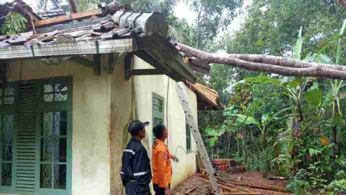 Berita Ciamis (Djavatoday.com),- Hujan deras disertai angin kencang kembali melanda Kabupaten Ciamis, Jawa Barat. Peristiwa yang terjadi pada Selasa (29/7/2025) sekitar pukul 07.15 WIB ini menyebabkan sebuah pohon albasiah tumbang dan menimpa rumah warga di Dusun Kertajaga, RT 10 RW 07, Desa Cisontrol, Kecamatan Rancah.