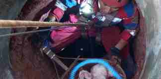 Site Icon Dua Kucing Terjebak di Sumur 13 Meter di Ciamis, Damkar Turun Lakukan Evakuasi · Post Ctrl+K Save draft Publish Dua Kucing Terjebak di Sumur 13 Meter di Ciamis, Damkar Turun Lakukan Evakuasi