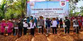 Polres Tasikmalaya Tanam 206 Hektare Jagung Dukung Swasembada Pangan 2025