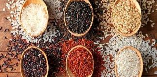 Jenis Beras yang Kaya Akan Nutrisi, Beri Manfaat Baik untuk Tubuh!