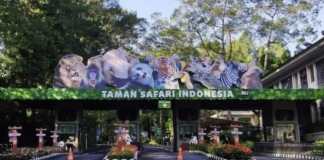 Rekomendasi Kebun Binatang di Jawa Barat, Cocok untuk Pencinta Satwa yang Mau Liburan Edukatif!