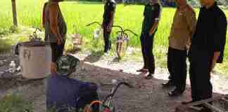 Petani Panawangan Ciamis Bergerak Cepat Kendalikan Ledakan Hama Wereng
