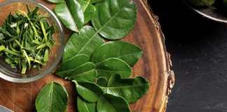 Sering digunakan untuk Menambah Harum Pada Masakan, 5 Daun Ini Juga Bermanfaat untuk Kesehatan!