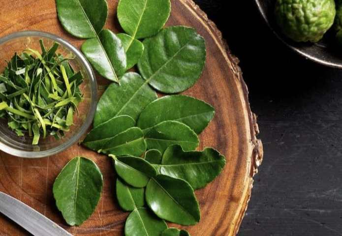 Sering digunakan untuk Menambah Harum Pada Masakan, 5 Daun Ini Juga Bermanfaat untuk Kesehatan!