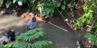 Mayat bayi sungai