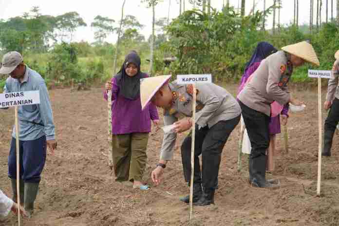 Polres Tasikmalaya Tanam Jagung Serentak, Wujud Nyata Dukung Ketahanan Pangan Nasional