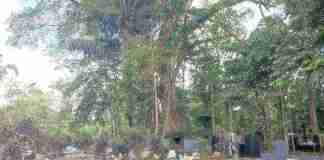 Tapak Jejak Dewi Naganingrum