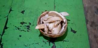 ewe deet kampung kuta