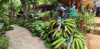 pajak pisang