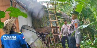 rumah rancah tertimpa pohon