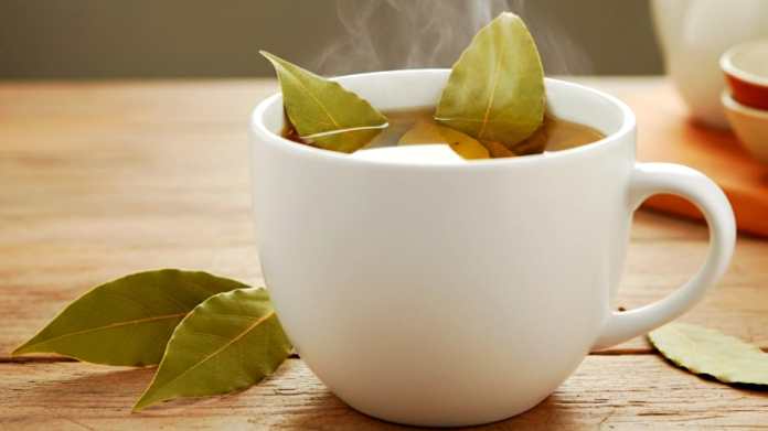 Namun, di balik perannya dalam kuliner, rebusan daun salam ternyata menyimpan segudang manfaat untuk kesehatan tubuh.